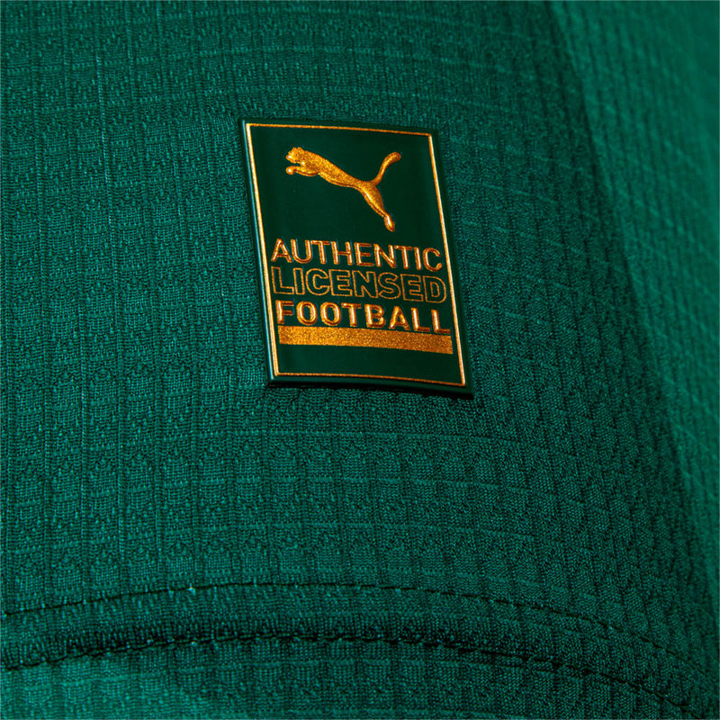 Camisa Palmeiras l 2023/24 Verde - Modelo Torcedor